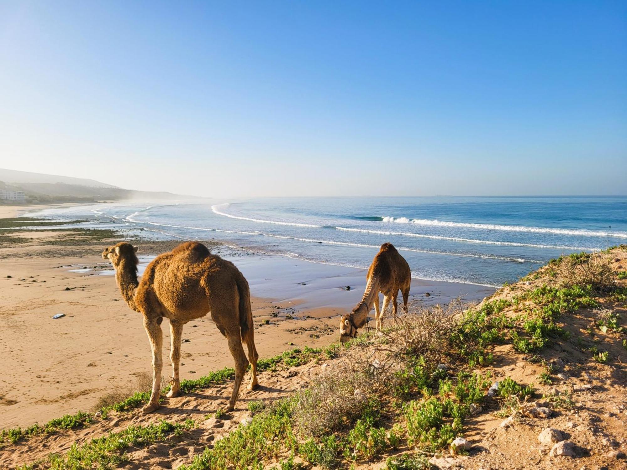 Готель Casa Janoub Morocco Tamraght Екстер'єр фото